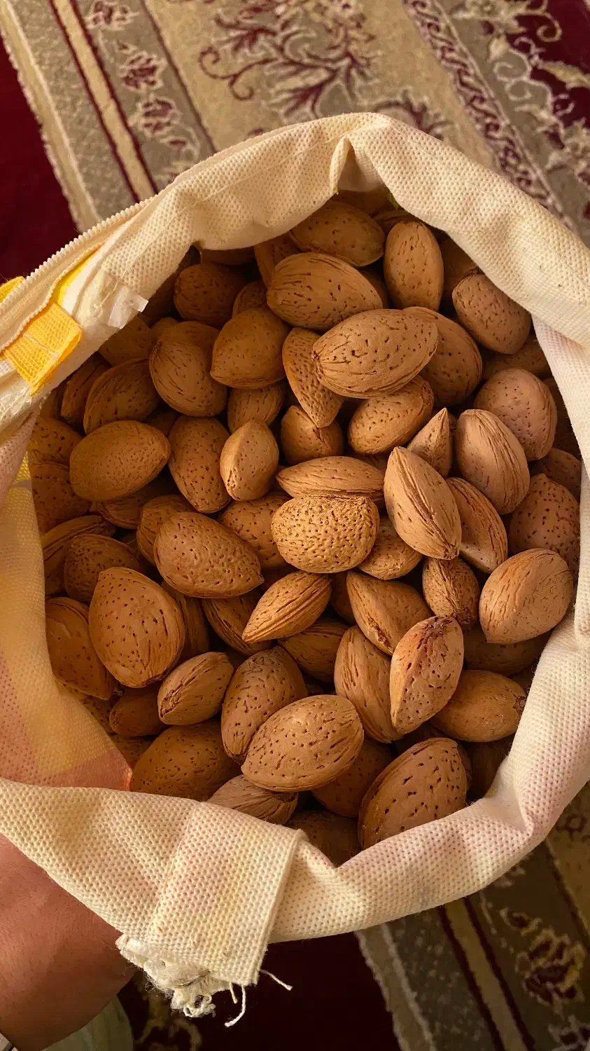 بادام|خوردنی و آشامیدنی|نیشابور, میدون بار|دیوار