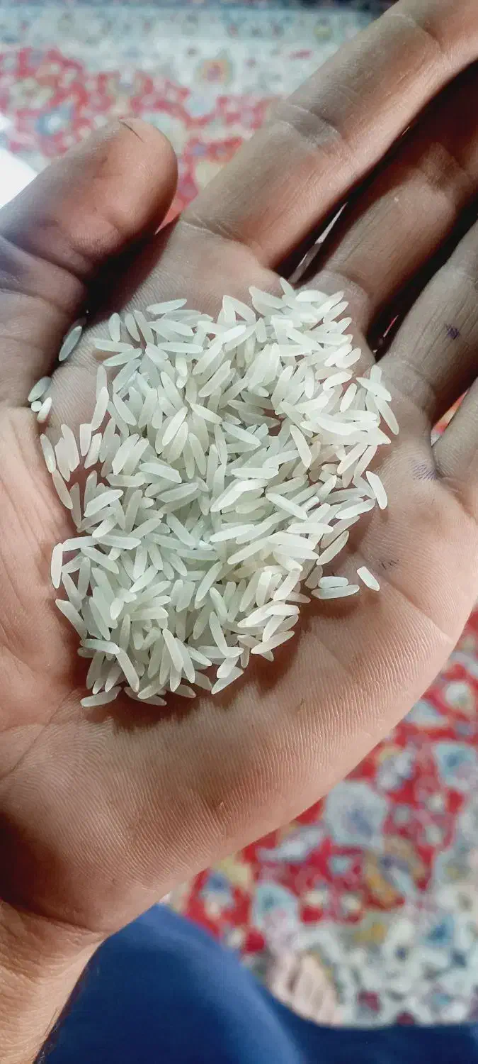 برنج خوش طعم و عطر|خوردنی و آشامیدنی|سنگدوین, |دیوار