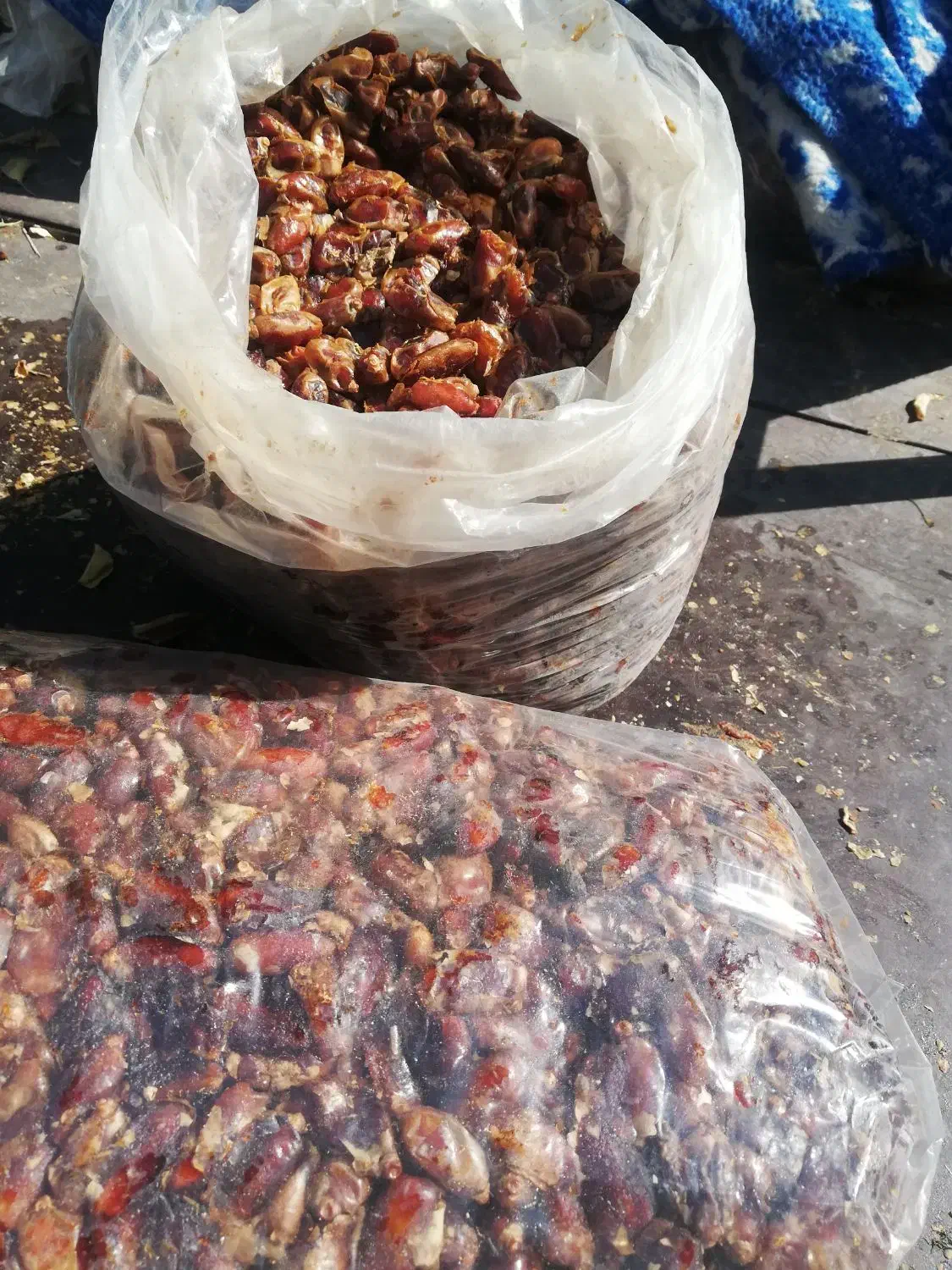 خرمای شاهانی|خوردنی و آشامیدنی|زرین دشت (فارس), |دیوار