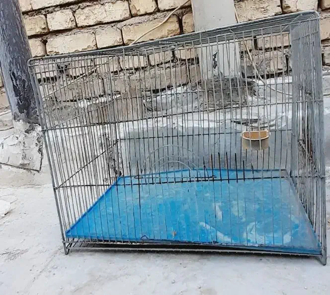 قفس پرنده|لوازم جانبی حیوانات|اصفهان, ارزنان|دیوار