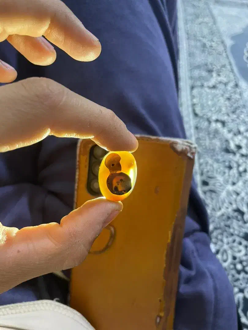 شجر مصور|جواهرات|اهواز, امانیه|دیوار