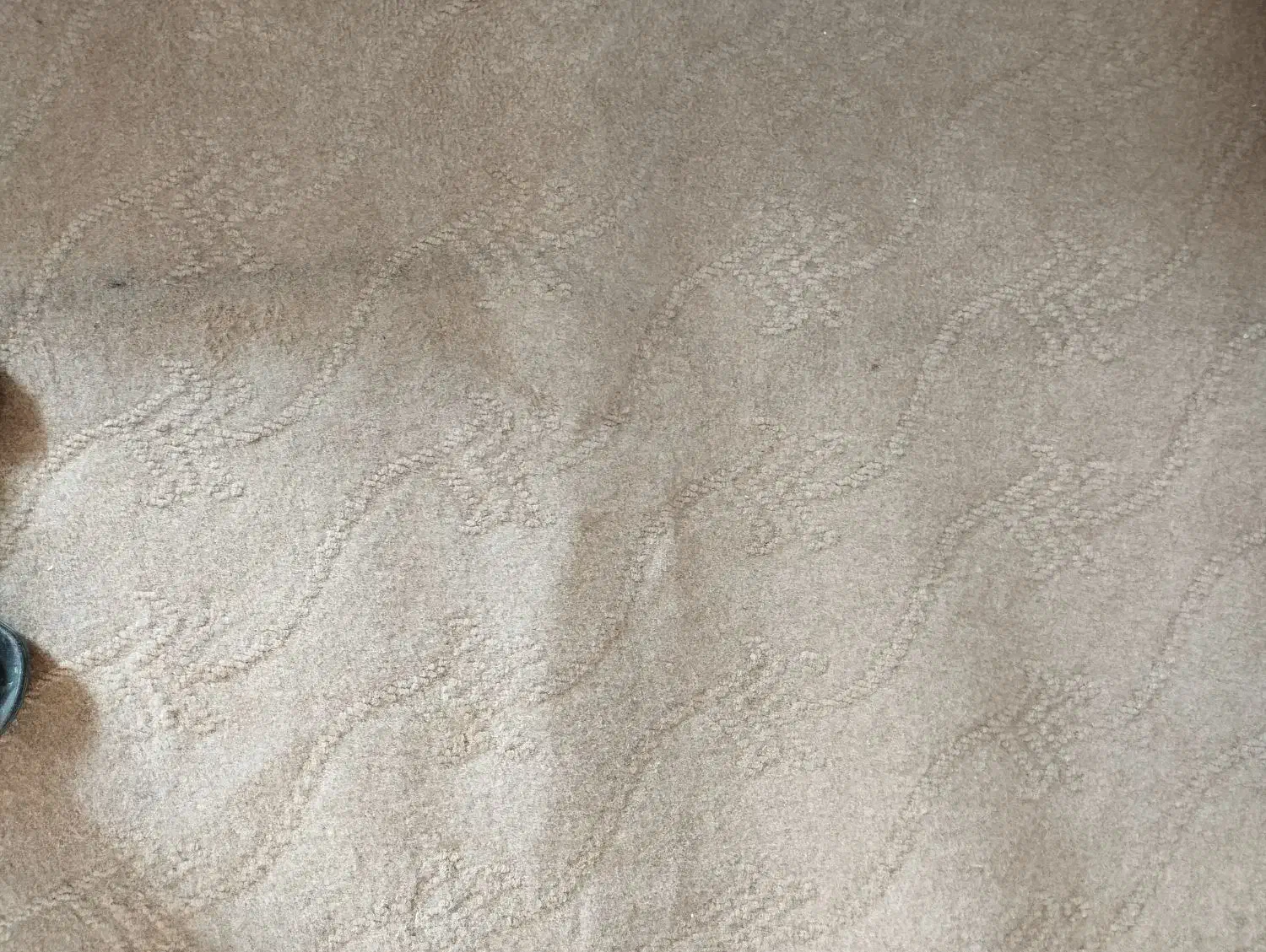 موکت|موکت|پلدختر, |دیوار