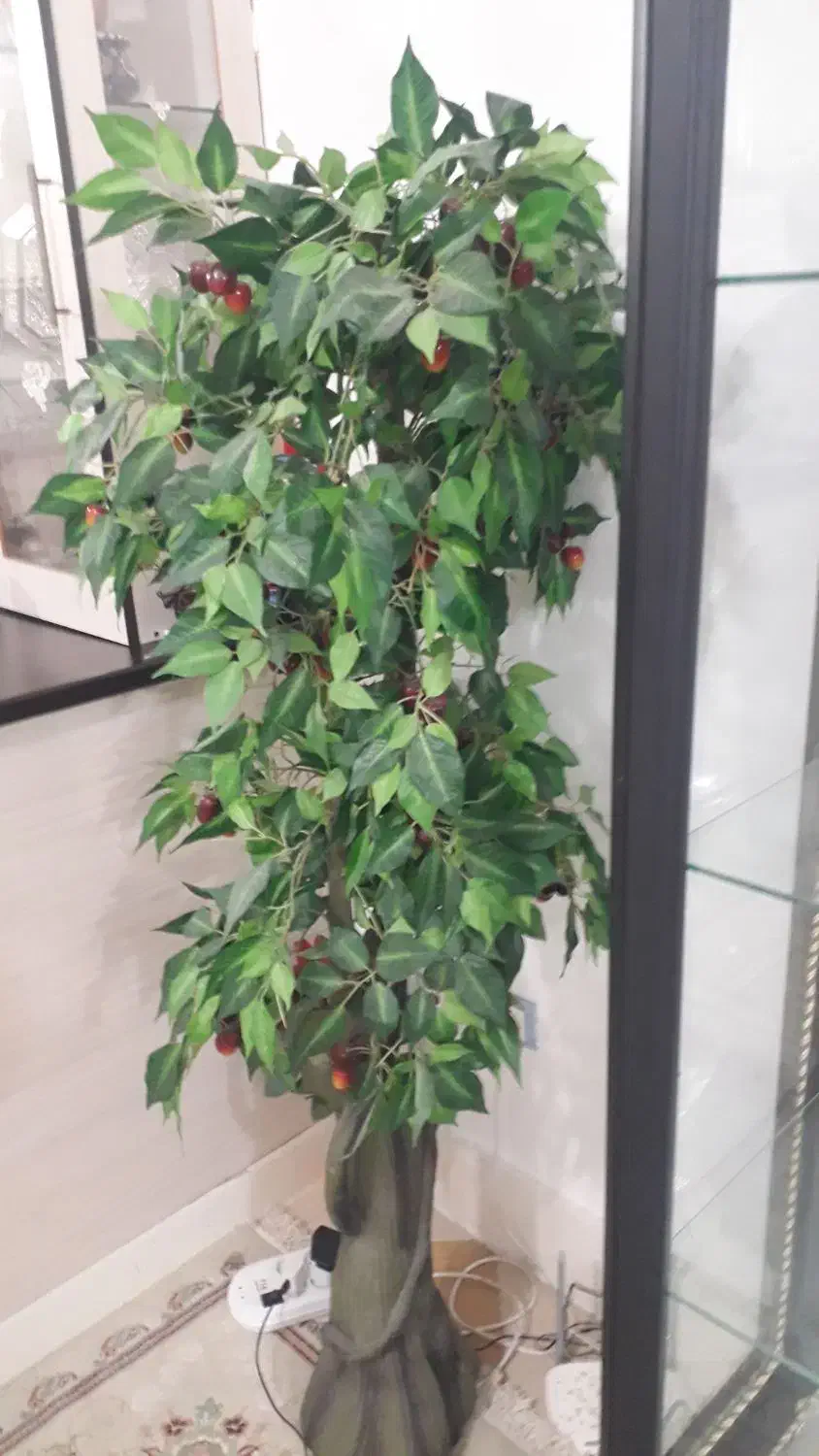 درختچه گیلاس مصنویی|گل مصنوعی|بندرعباس, |دیوار