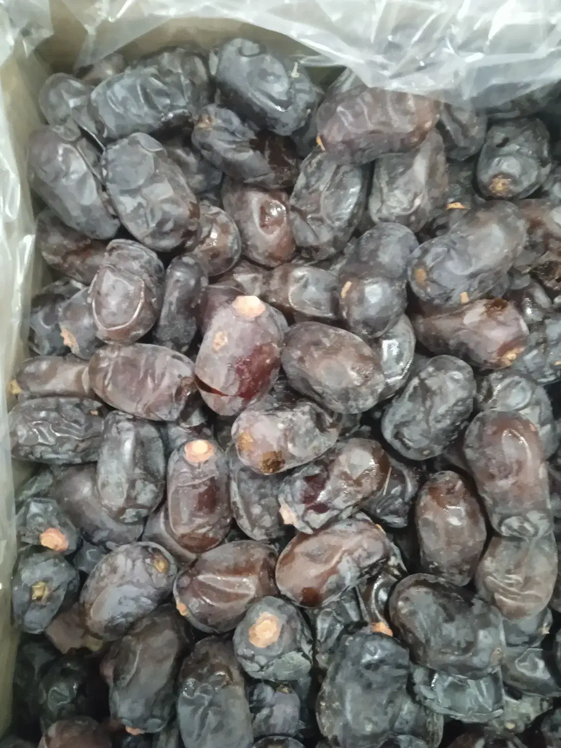 خرما درجه یک مضافتی به قیمت عالی|خوردنی و آشامیدنی|بمپور, |دیوار