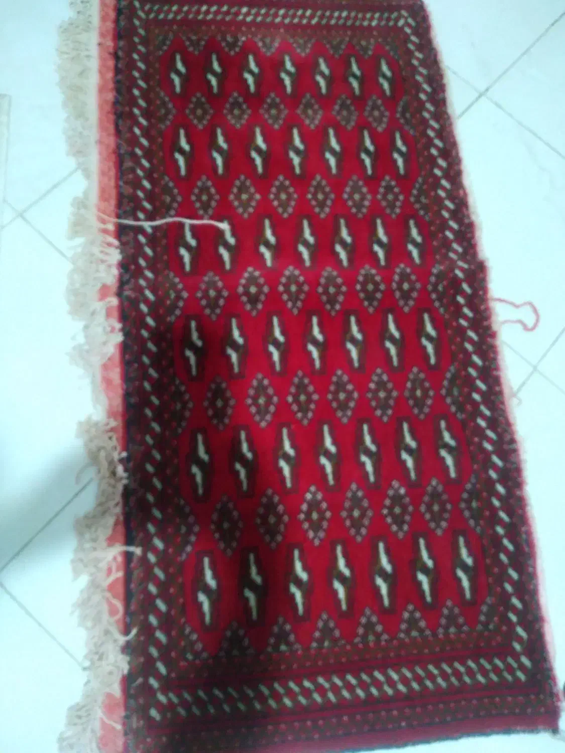 یک جفت رو  پشتی فرشی دستبافت ترکمن|فرش|قزوین, |دیوار