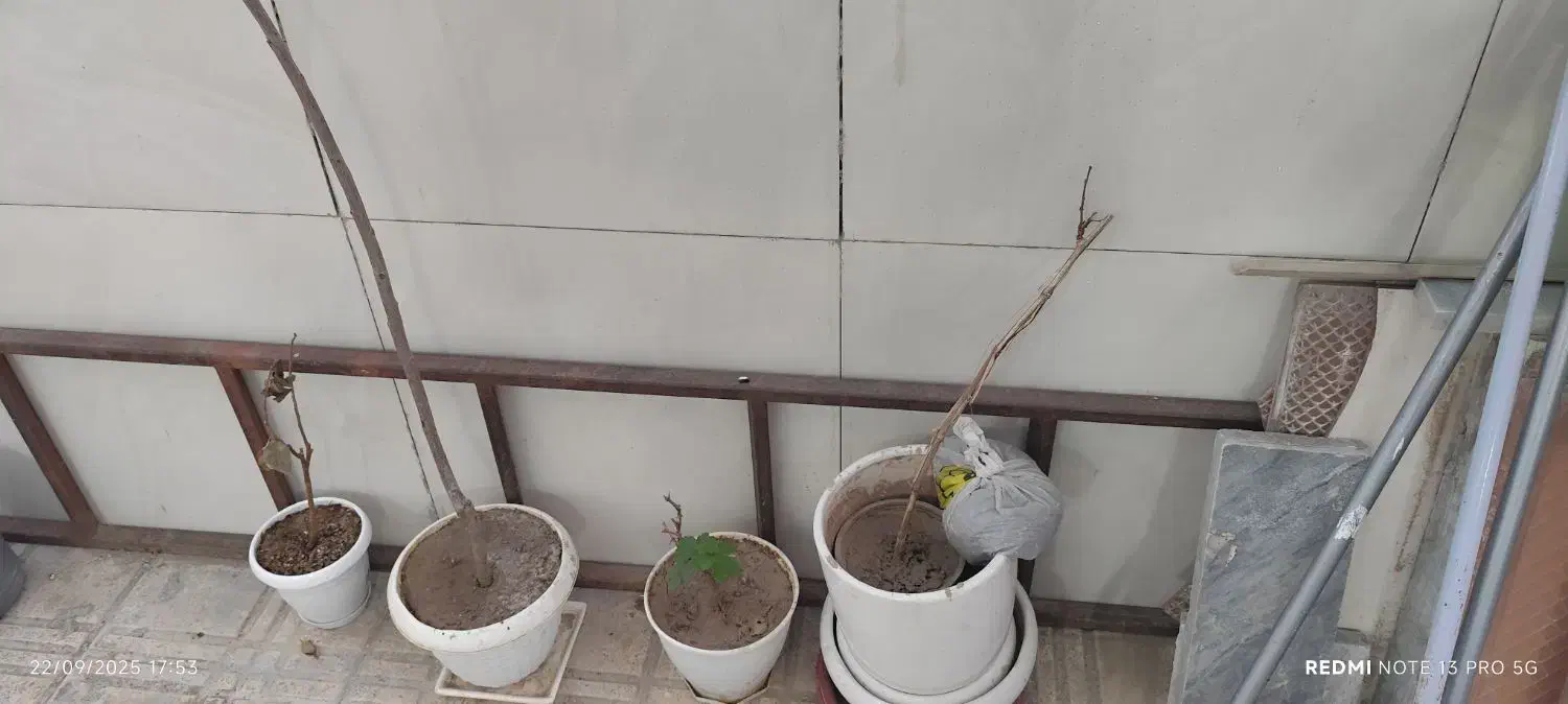 نردبام فلزی|ابزارآلات|شهرکرد, |دیوار