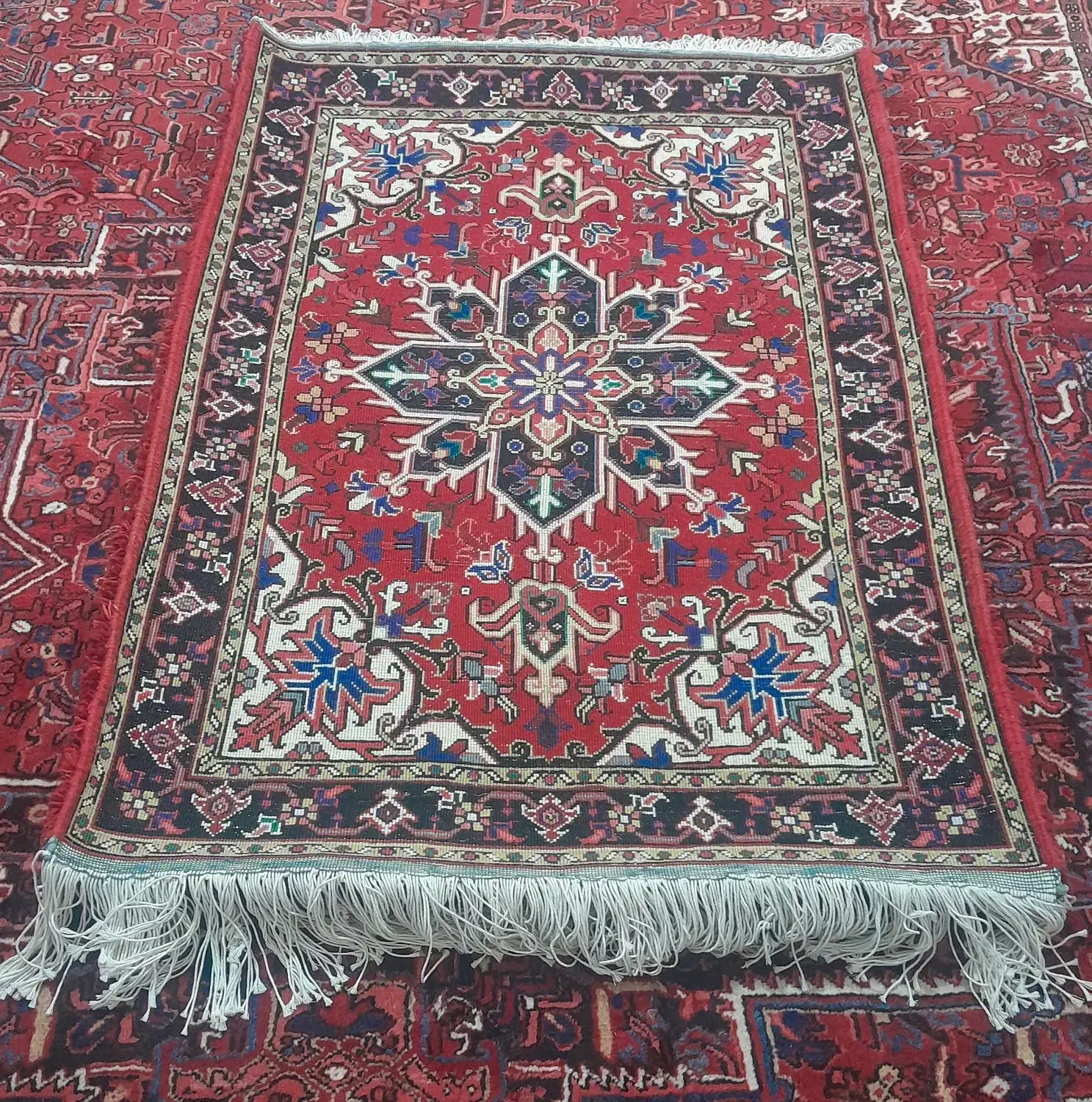 فرش زرنیم|فرش|تبریز, |دیوار