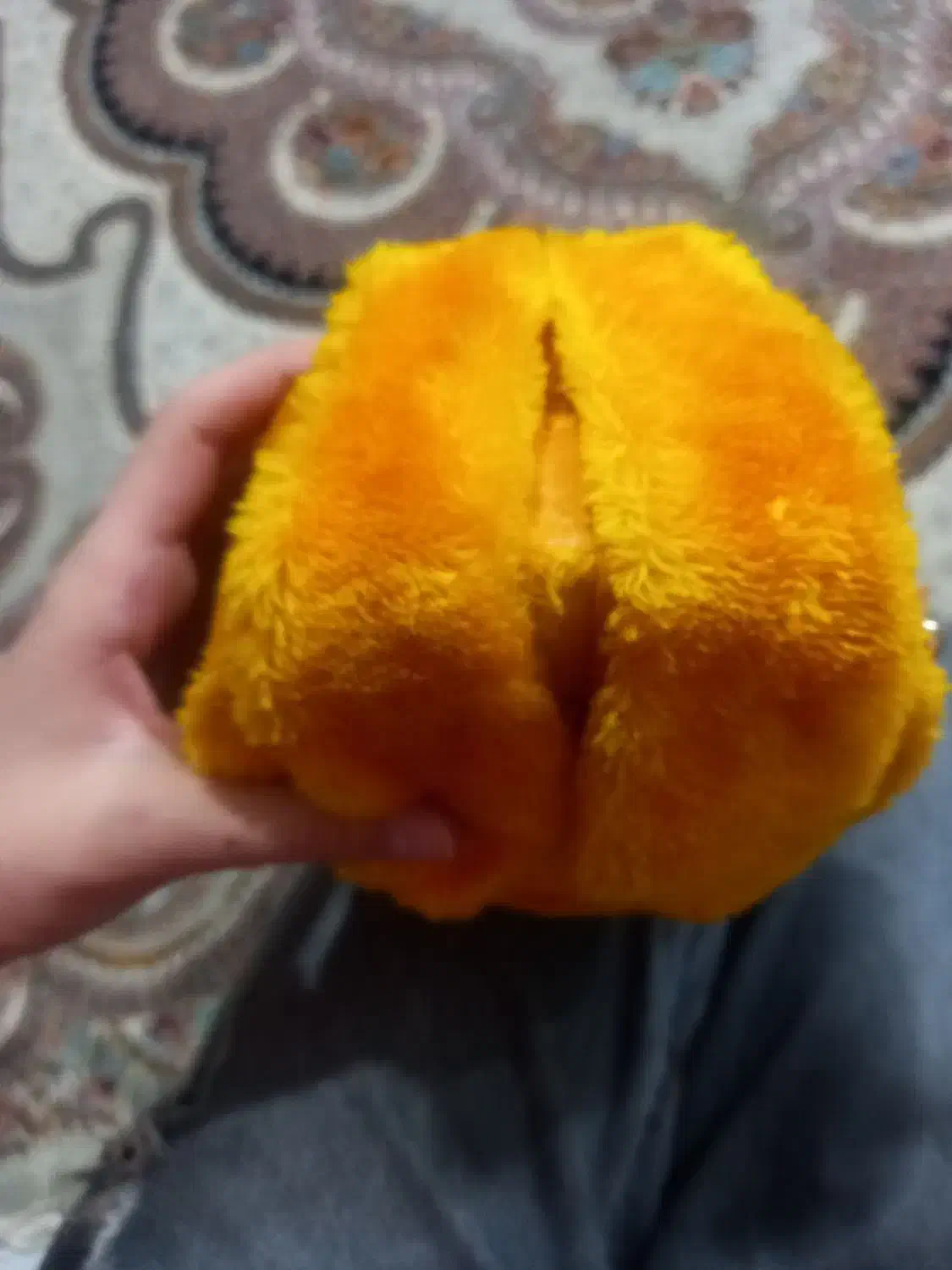 کیف خرگوشی|کیف، کفش، کمربند|دورود, |دیوار