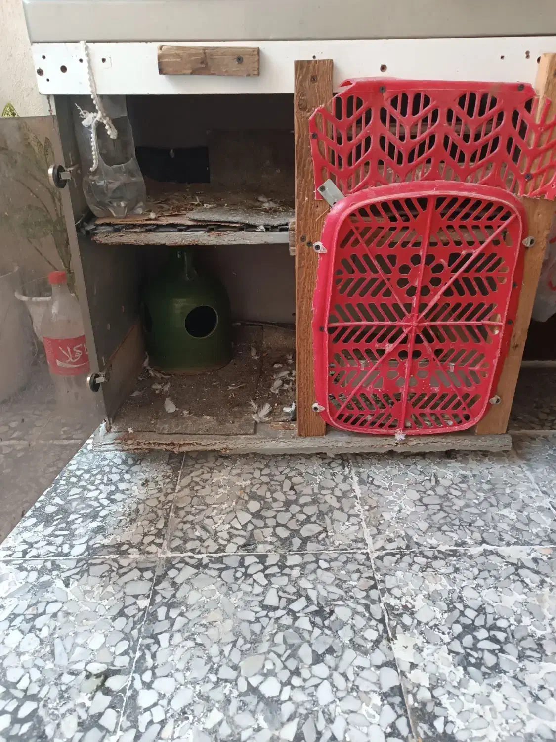 لوازم کبوتر و جفتگاه پرنده|لوازم جانبی حیوانات|لاهیجان, کوی زمانی|دیوار