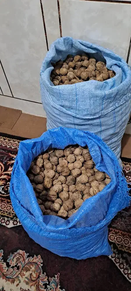 گردوی محلی|خوردنی و آشامیدنی|تهران, گمرک|دیوار