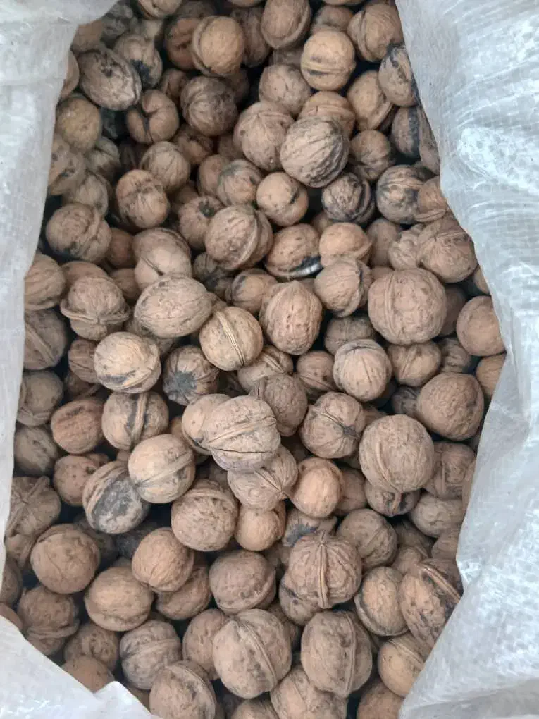 فروش جزئی انجیر گردو حبوبات کشمش افتابی مویز|خوردنی و آشامیدنی|یزد, |دیوار