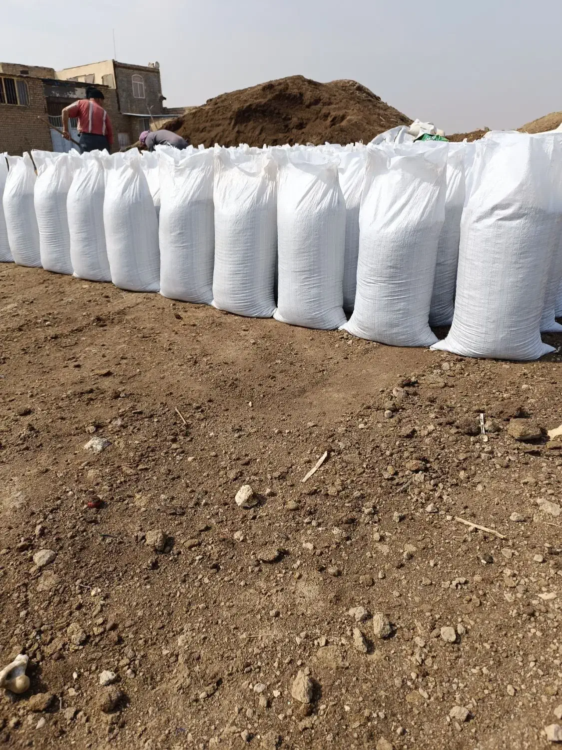 کود گاوی گوسفندی کمپوست خاک باغچه وخ گلدان|خدمات باغبانی و درختکاری|قم, باغ کرباسی|دیوار