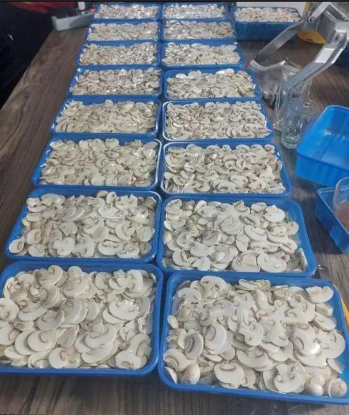 قارچ اسلایس فله(همه روزه)|خوردنی و آشامیدنی|رشت, معلم|دیوار