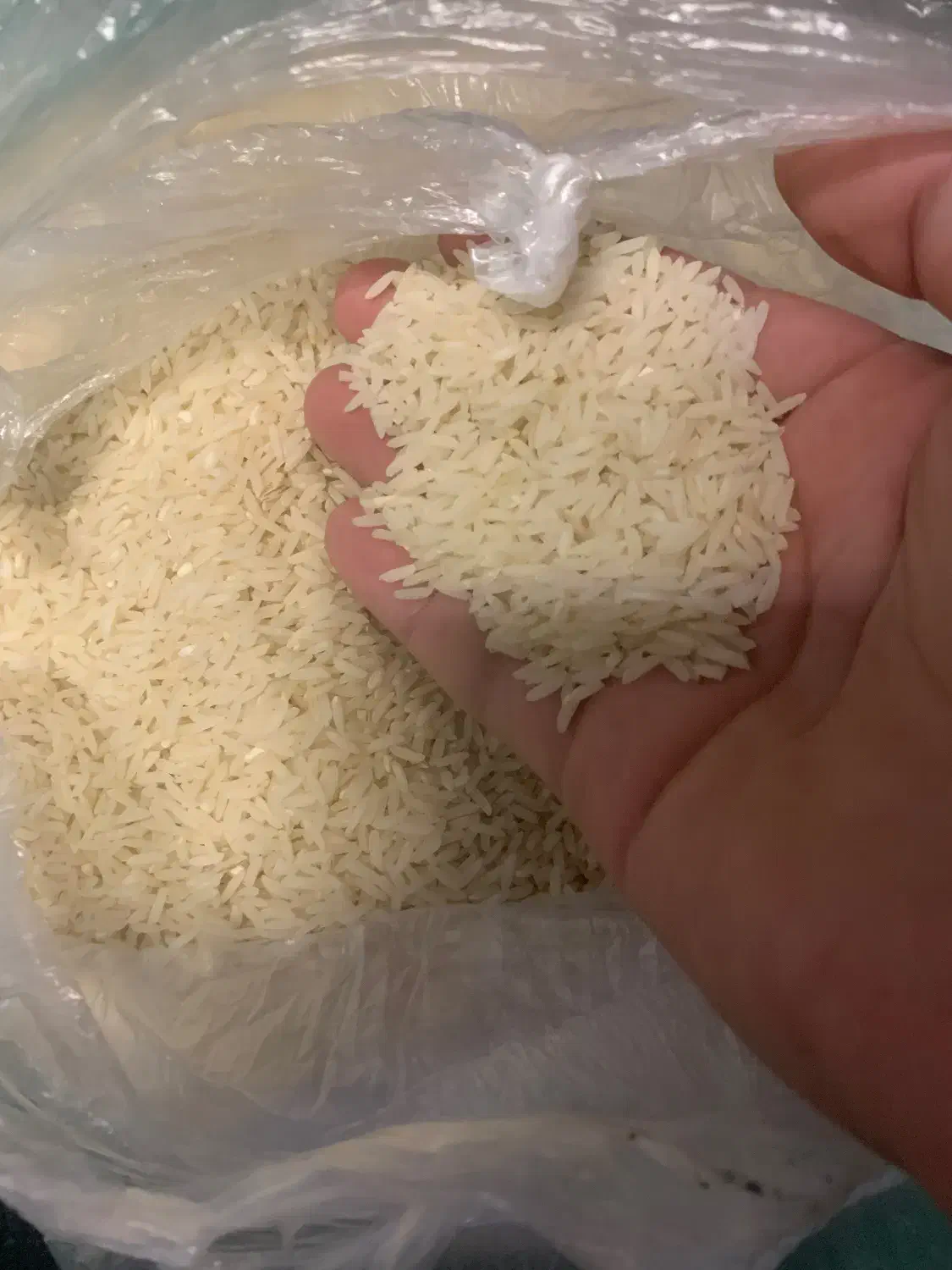برنج طارم هاشمی|خوردنی و آشامیدنی|تهران, آذربایجان|دیوار