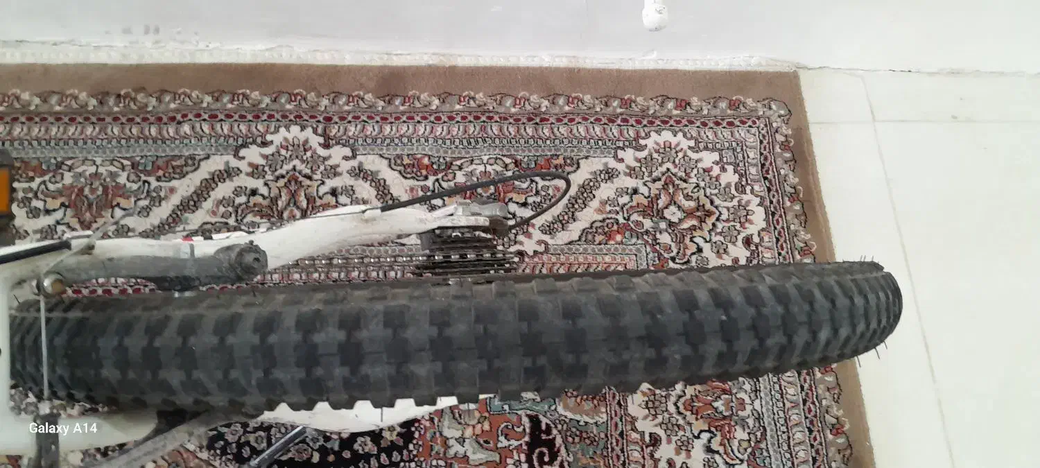 دوچرخه ۲۶|دوچرخه، اسکیت، اسکوتر|محمدشهر, محمدشهر|دیوار