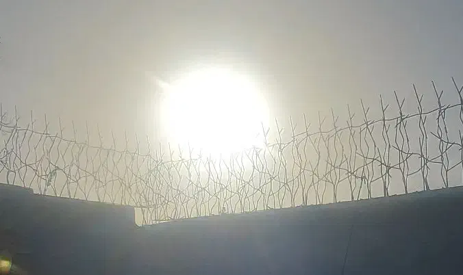 حفاظ شاخ گوزنی تراکم بالا با میلگرد ۸ و میلگرد ۱۰|خدمات پیشه و مهارت|شهریار, شهرک نماز (دینار آباد)|دیوار