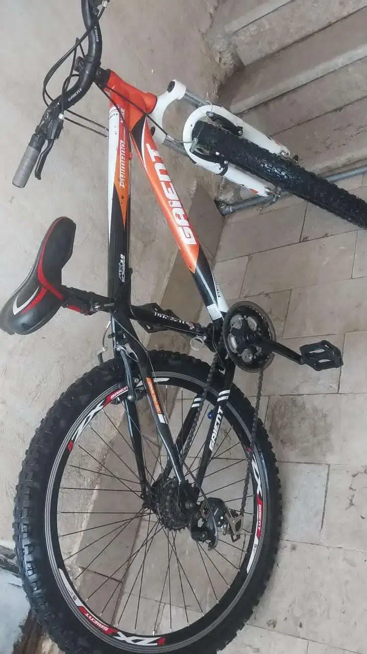 دوچرخه 26|دوچرخه، اسکیت، اسکوتر|شیراز, مسلم|دیوار