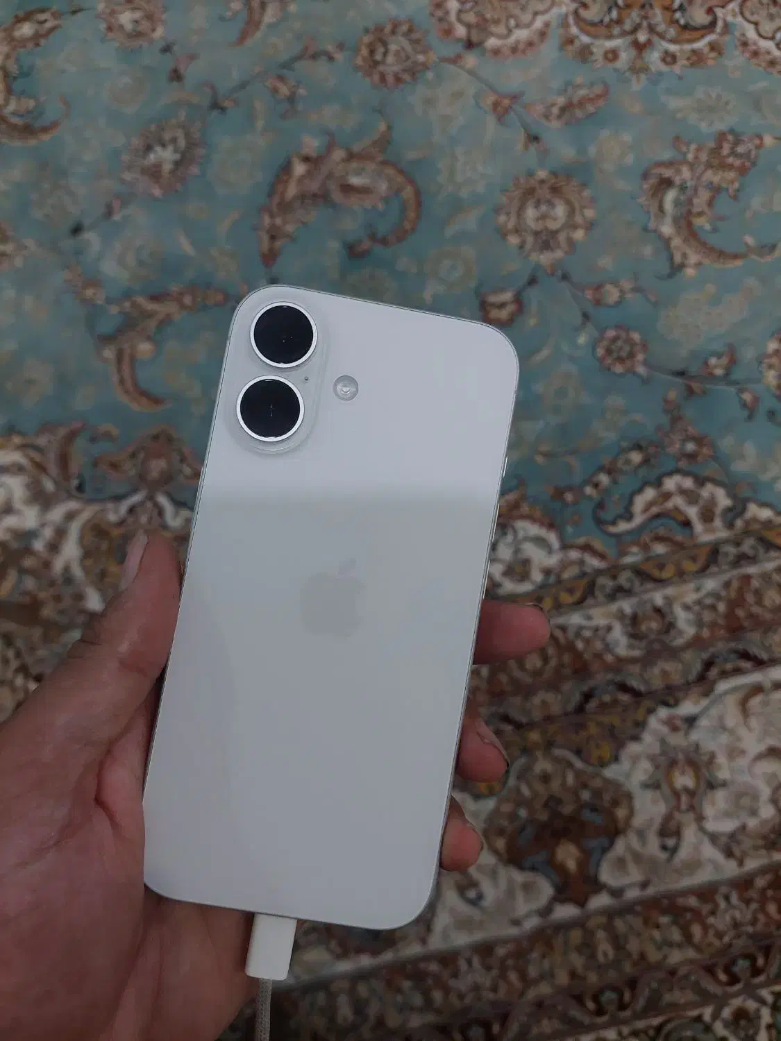 ایفون ۱۶|موبایل|یزد, |دیوار