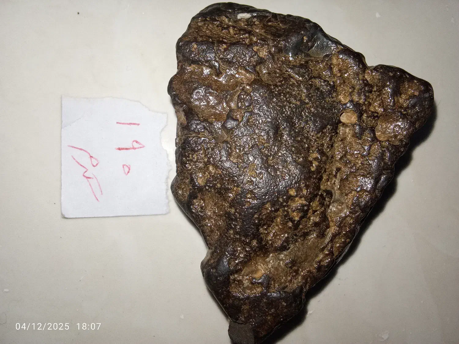 یک عدد شهاب سنگ|کلکسیون اشیاء عتیقه|ملارد, |دیوار