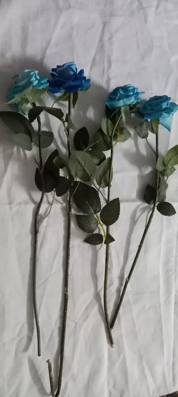 گل آبی|گل مصنوعی|مشهد, موسوی قوچانی|دیوار