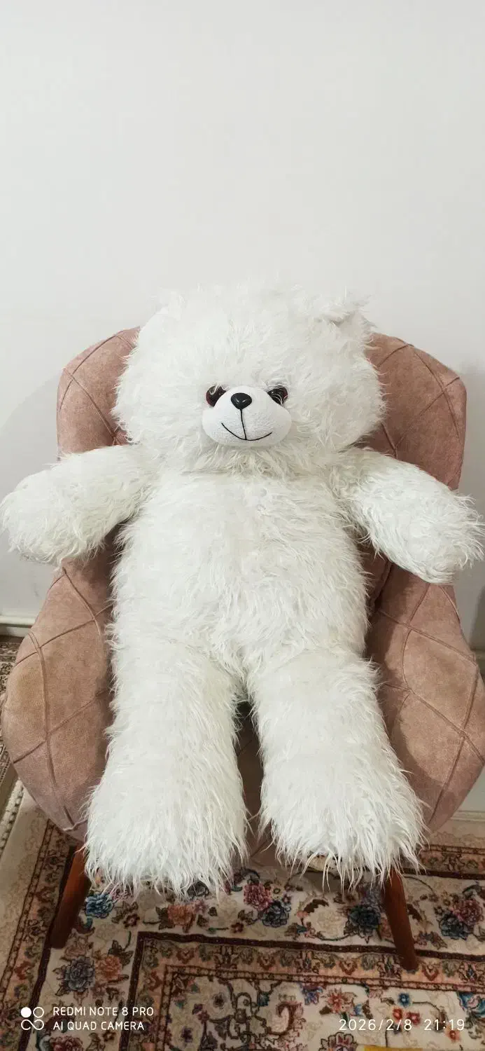 خرس|اسباب‌‌بازی|اردبیل, |دیوار