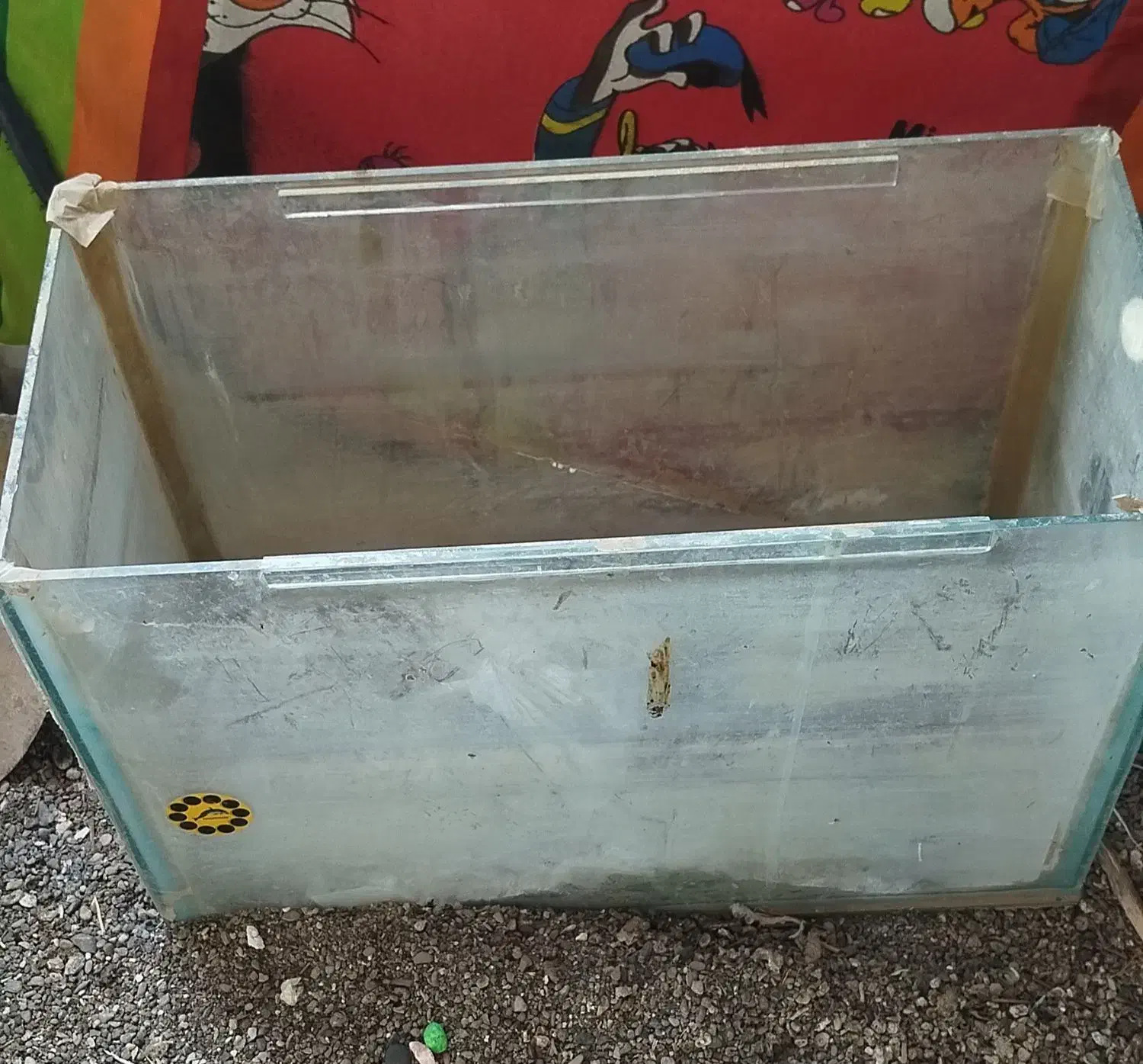 تعدادی وسایل|لامپ و چراغ|زابل, |دیوار