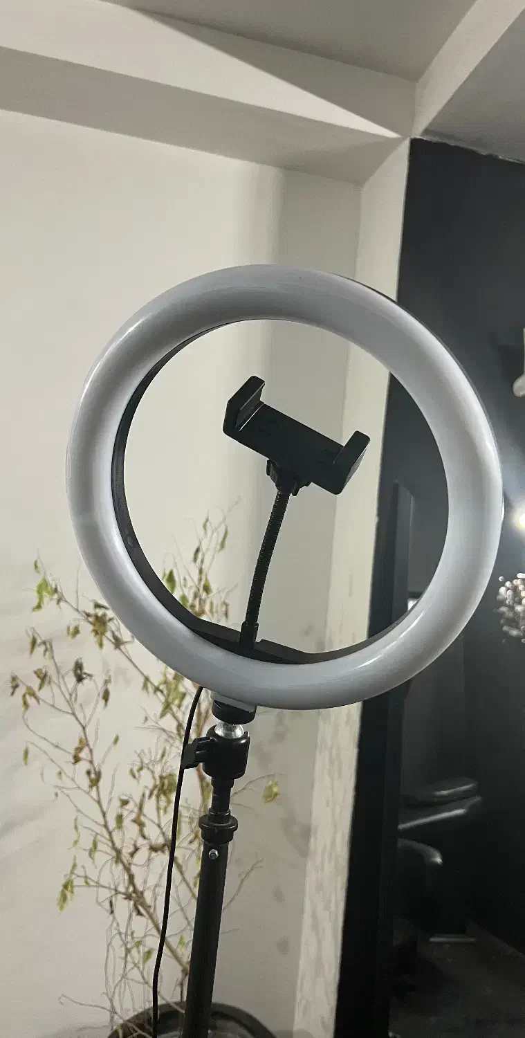 رینگ لایت|دوربین عکاسی و فیلمبرداری|آمل, |دیوار