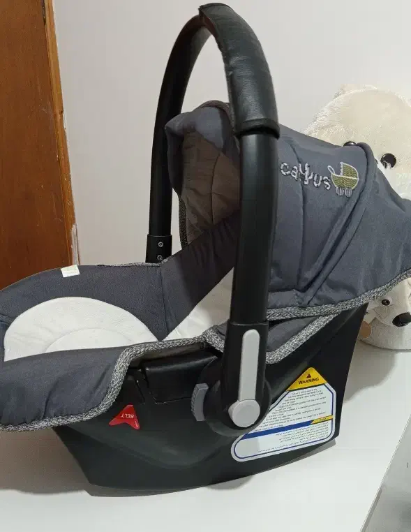 کریر دلیجان همراه با روکش...|کالسکه و لوازم جانبی|بندر انزلی, بشمن|دیوار