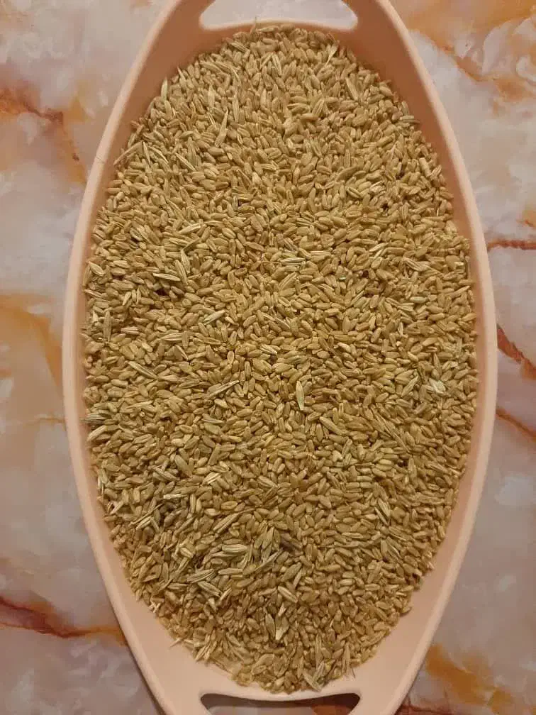 گندم دیم|خدمات باغبانی و درختکاری|آبدانان, |دیوار