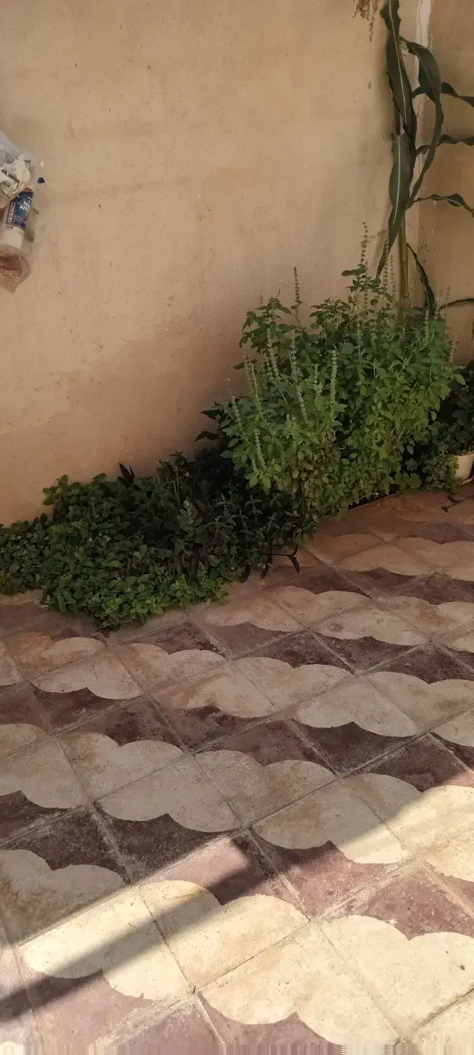 فروش منزل مسکونی|فروش زمین و ملک کلنگی|شیراز, جرسقان|دیوار