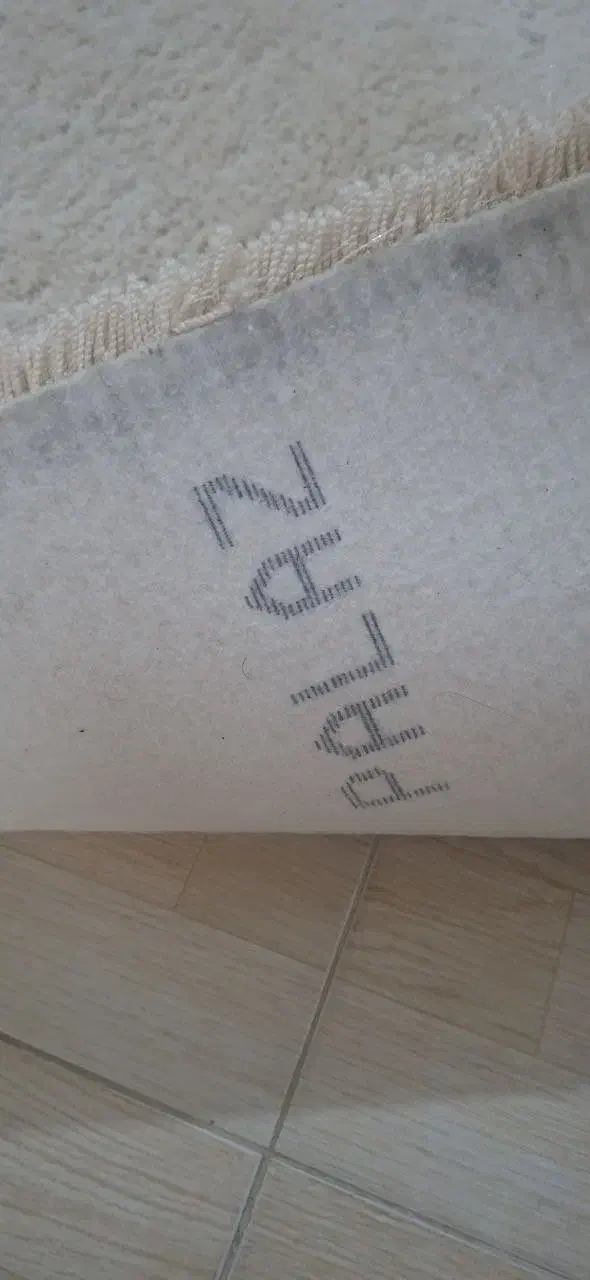 پالاز موکت|موکت|سقز, |دیوار