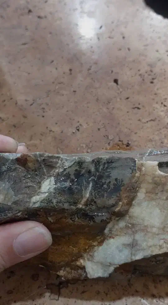 سنگ شجر|کلکسیون اشیاء عتیقه|خوی, |دیوار