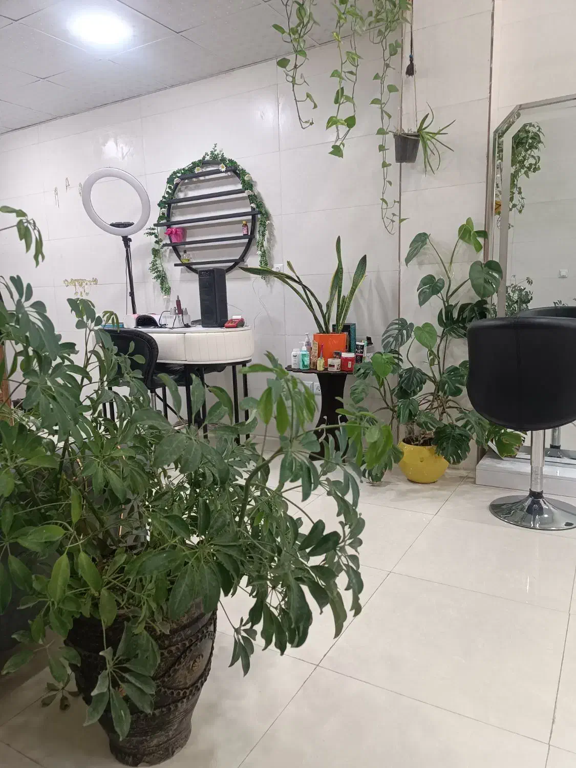 تمامی لاینهای آرایشی|استخدام درمانی، زیبایی، بهداشتی|هشتگرد, هیو|دیوار