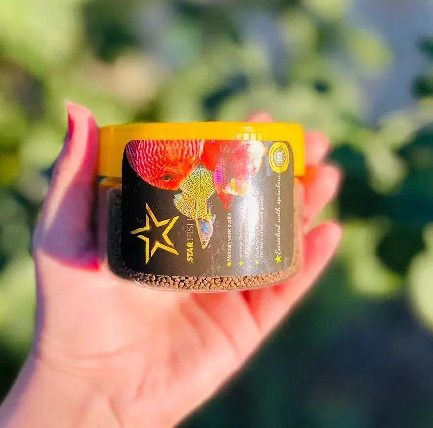 خوراک غذای آبزیان ماهی زینتی آکواریومی|ماهی|مشهد, کوثر|دیوار