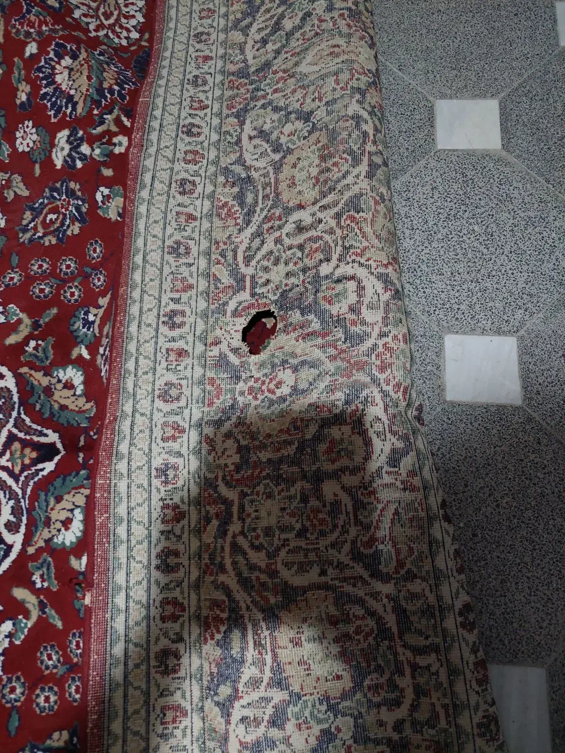 دو عدد فرش مخصوص باغ|فرش|همدان, |دیوار