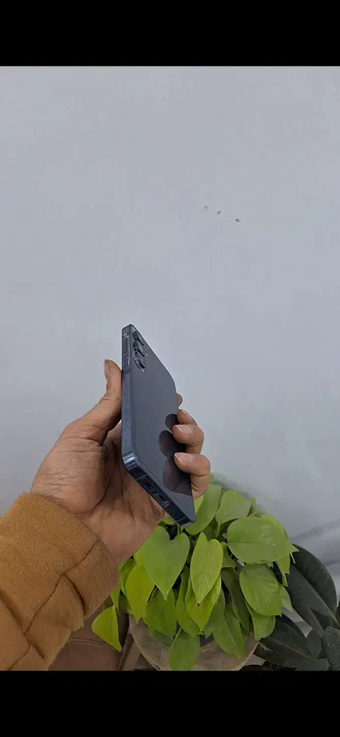 A55 سامسونگ|موبایل|بجنورد, |دیوار