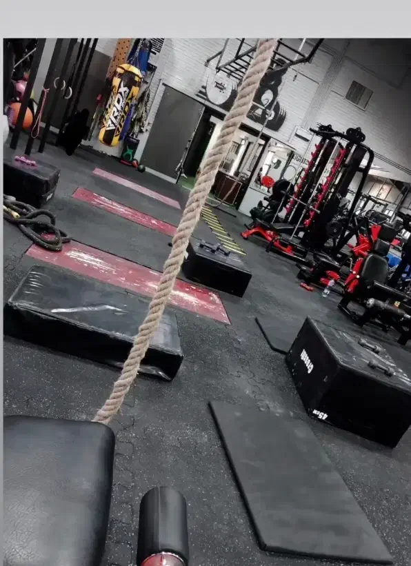 مربی ورزشی|خدمات آموزشی|قم, انسجام|دیوار