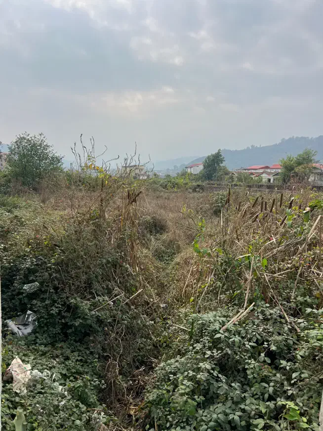 ۸۵۰ متر زمین ویلایی بر جاده|فروش زمین و ملک کلنگی|آستارا, |دیوار