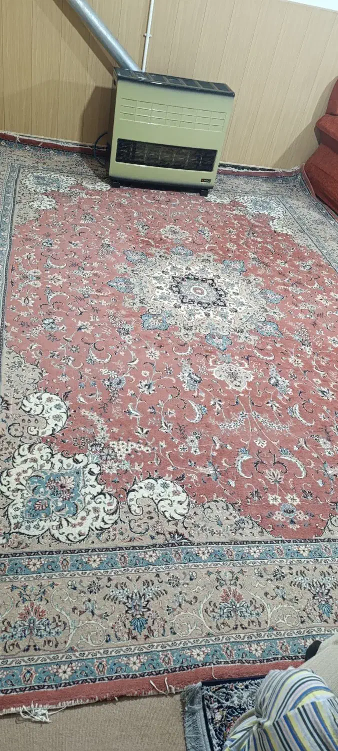 دو جفت فرش|فرش|زنجان, |دیوار