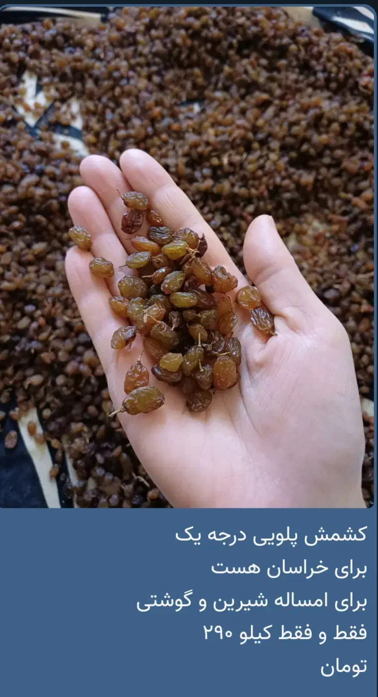 کشمش|خوردنی و آشامیدنی|کرج, خرمدشت|دیوار