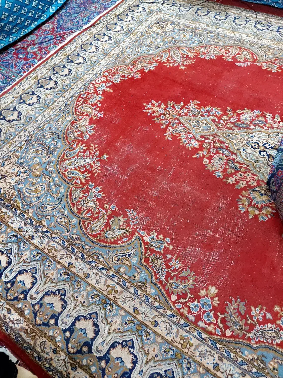 قالی کرمان|فرش|زرند, |دیوار