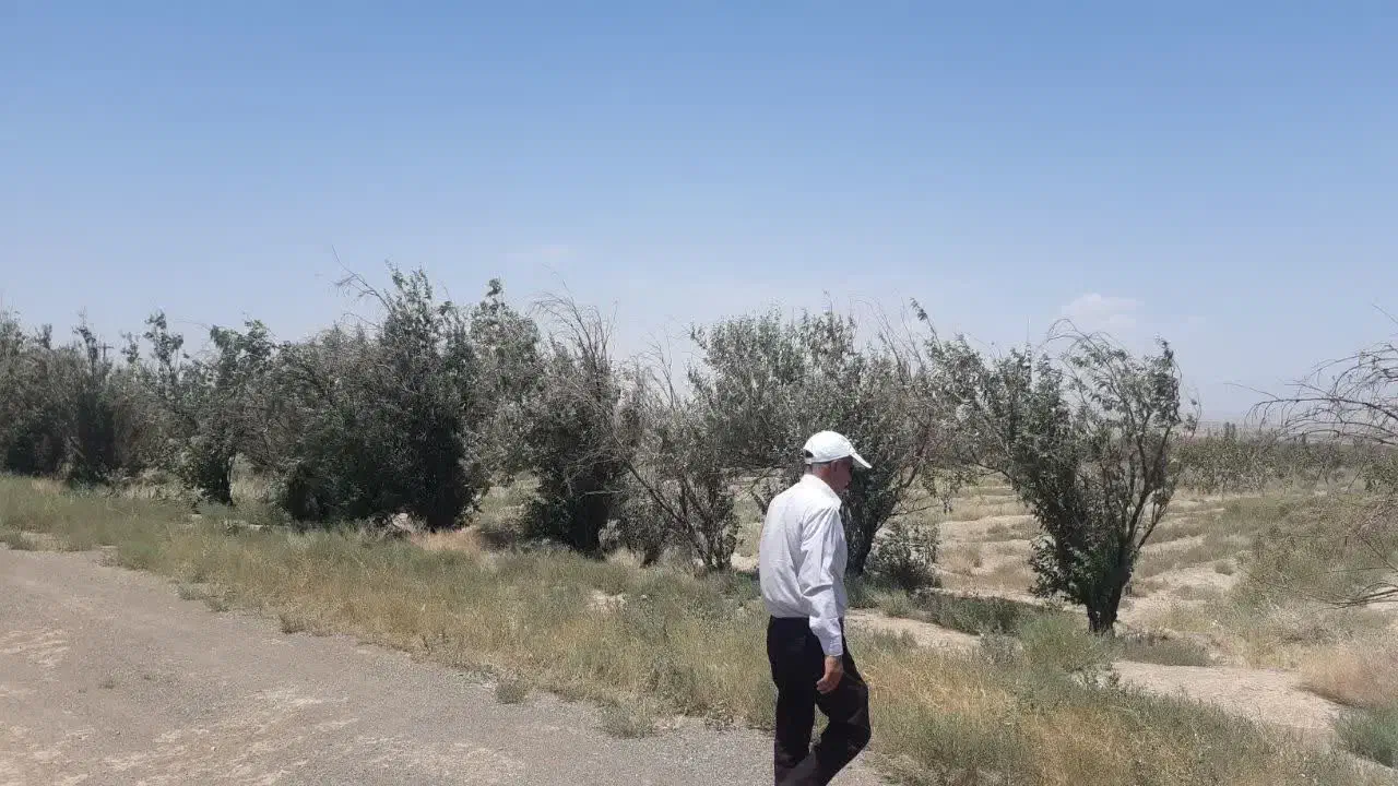 ۶۰۰ هکتار زمین|فروش زمین و ملک کلنگی|ملکآباد, |دیوار