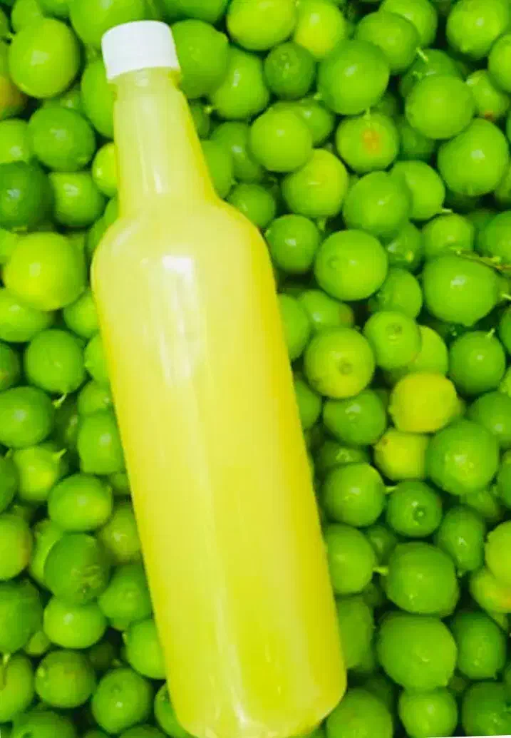 ابلیمو طبیعی جهت رستوران طباخی میوه فروشی|خوردنی و آشامیدنی|مشهد, شهرک صنعتی توس|دیوار