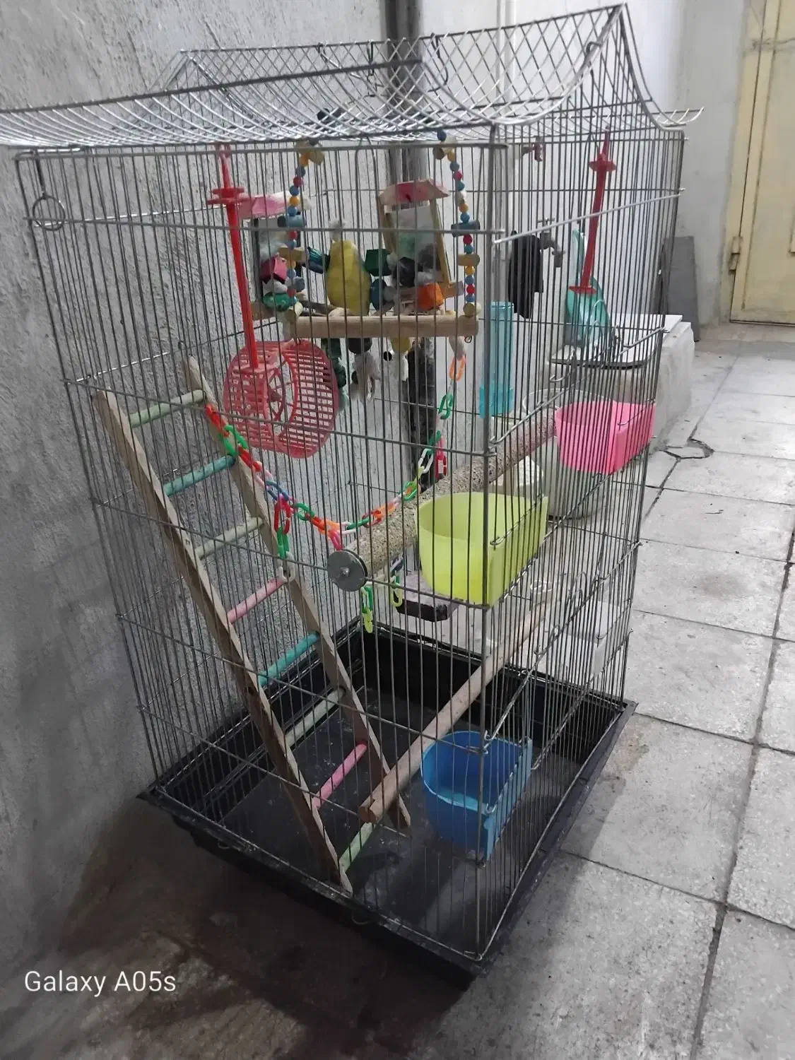 قفس پرنده|لوازم جانبی حیوانات|سبزوار, قلعه‌نو دهزار|دیوار