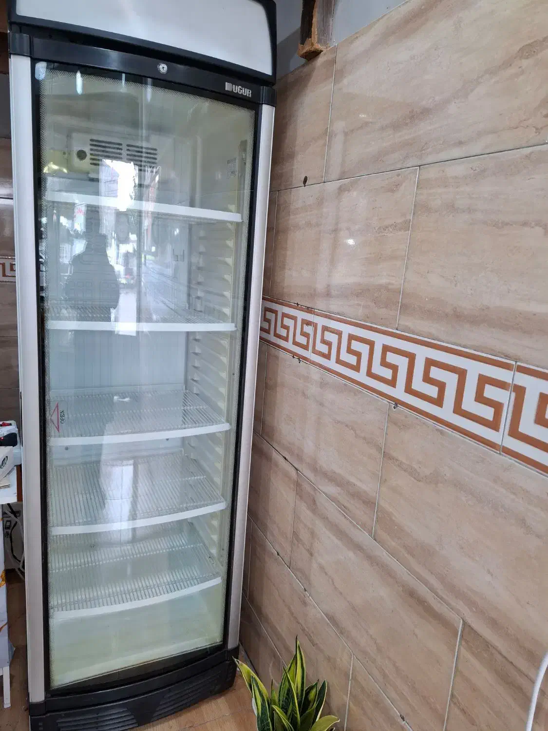 یخچال ایستاده|یخچال و فریزر|رشت, پستک|دیوار