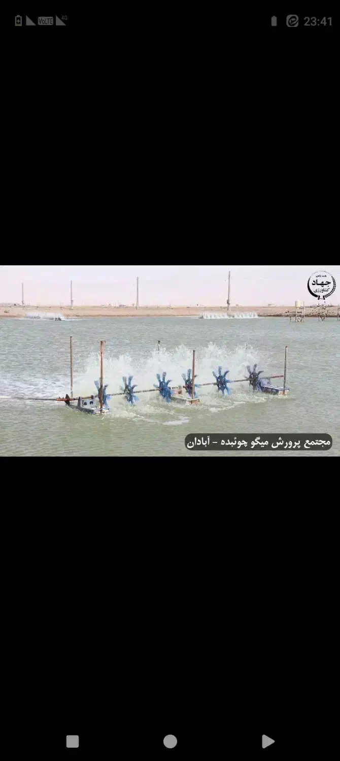 اجاره مزرعه پرورش میگو ،ماهی|اجارهٔ دفتر صنعتی، کشاورزی، تجاری|بوشهر, |دیوار