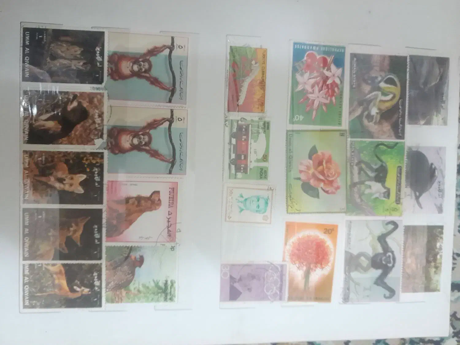 دوتاالبوم بزرگ تمبرفقط۱۵۰۰|کلکسیون سکه، تمبر، اسکناس|تهران, دولاب|دیوار