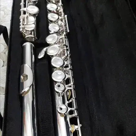 فلوت کلیدی|سازهای بادی|شهرکرد, |دیوار