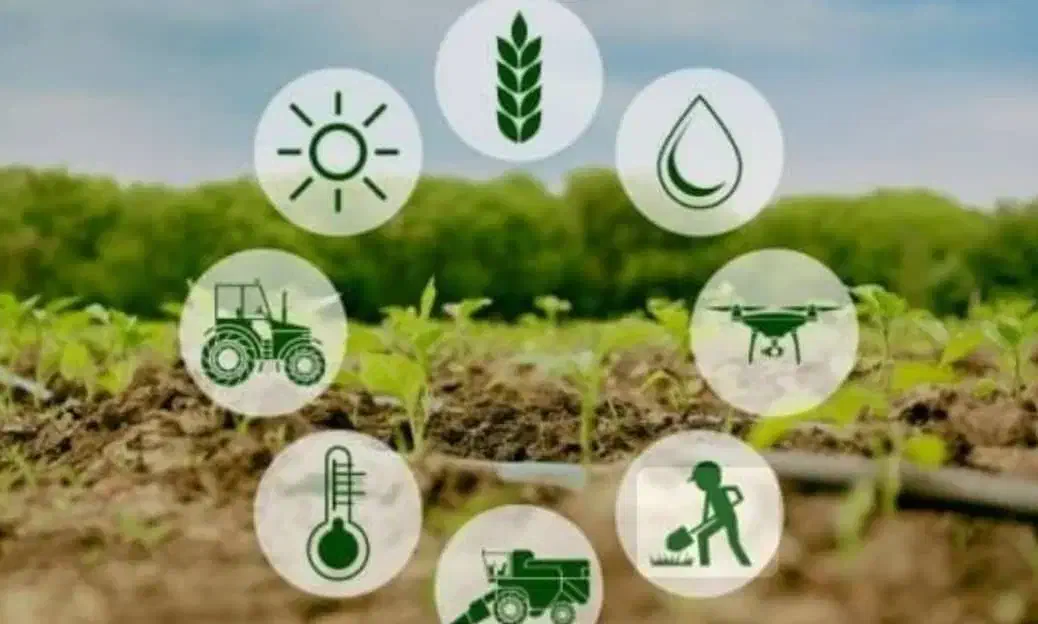 نیروی کار|استخدام صنعتی، فنی، مهندسی|شیراز, بازار|دیوار