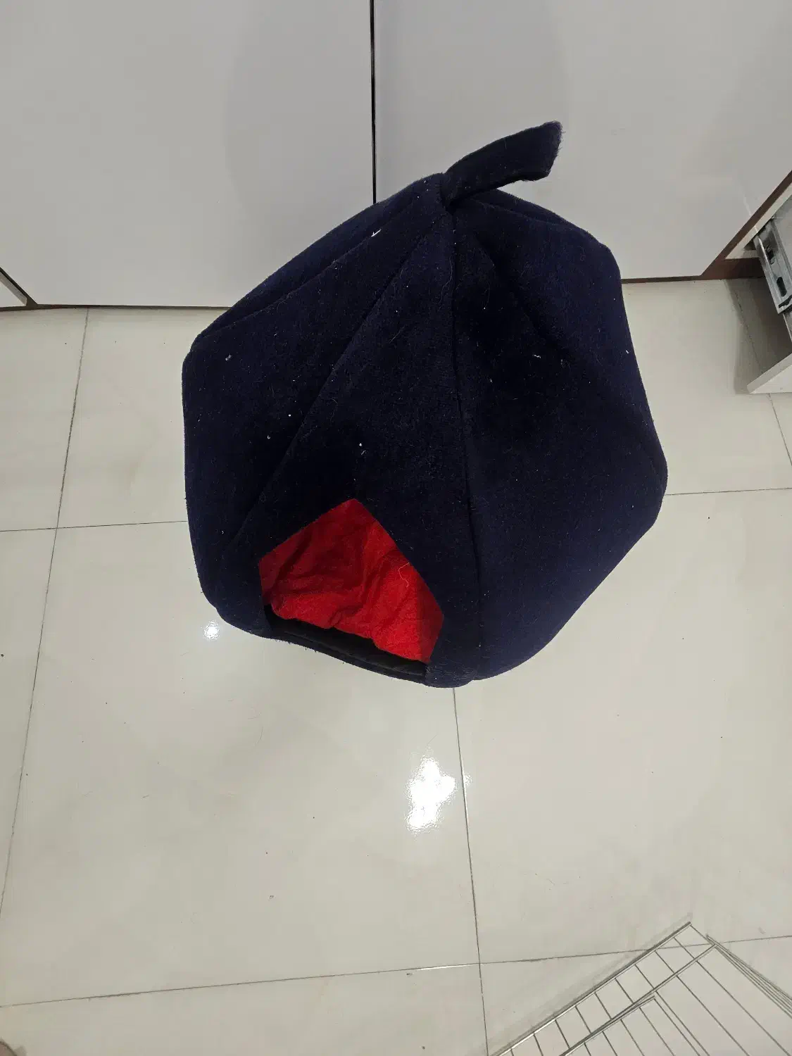 توله سگ|سگ|باقرشهر, |دیوار